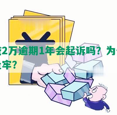 网贷2万逾期1年会起诉吗？为什么会坐牢？