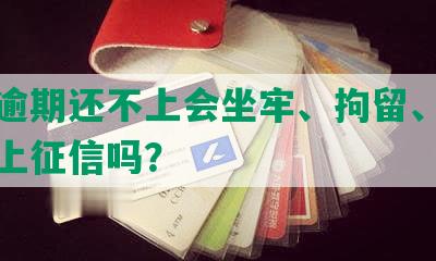 网贷逾期还不上会坐牢、拘留、被起诉或上征信吗？