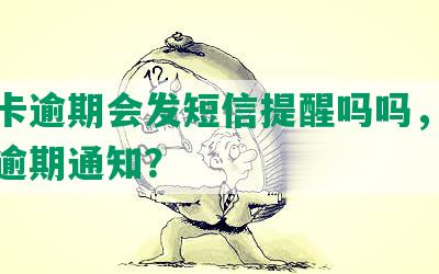 信用卡逾期会发短信提醒吗吗，如何投诉逾期通知？