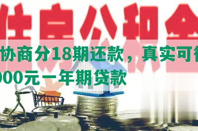 2万协商分18期还款，真实可行的20000元一年期贷款