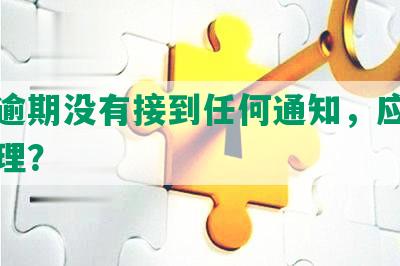 网贷逾期没有接到任何通知，应该怎么处理？