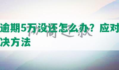 网贷逾期5万没还怎么办？应对策略及解决方法