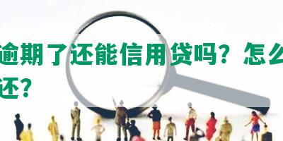 网贷逾期了还能信用贷吗？怎么办和怎么还？