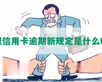 新冠信用卡逾期新规定是什么时候