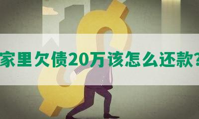 家里欠债20万该怎么还款？