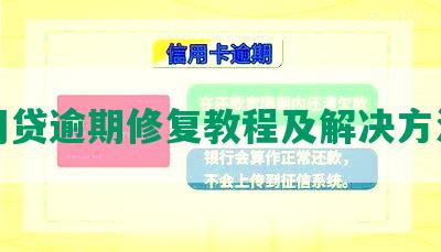 网贷逾期修复教程及解决方法