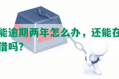 网贷能逾期两年怎么办，还能在其他平台借吗？