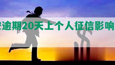 平安逾期20天上个人征信影响及查询