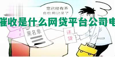 兰州催收是什么网贷平台公司电话排名