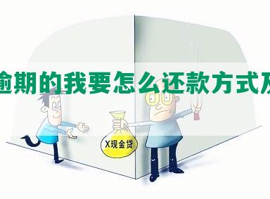 网贷逾期的我要怎么还款方式及处理方法