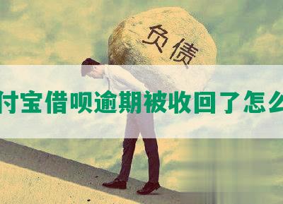 支付宝借呗逾期被收回了怎么办