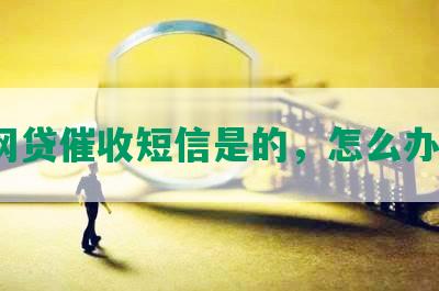 网贷催收短信是的，怎么办？