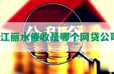 浙江丽水催收是哪个网贷公司？