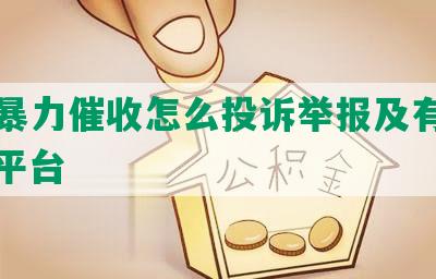 网贷暴力催收怎么投诉举报及有效电话、平台