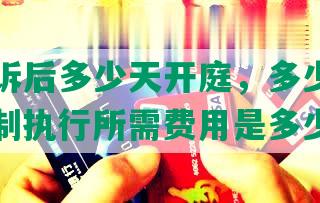 网贷起诉后多少天开庭，多少时间立案，强制执行所需费用是多少？