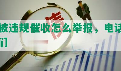 网贷被违规催收怎么举报，电话，他，他们