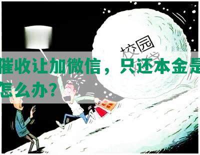 网贷催收让加微信，只还本金是真的吗？怎么办？