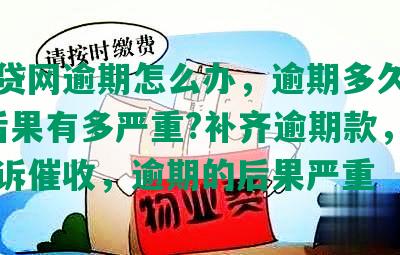 微贷贷网逾期怎么办，逾期多久上征信?后果有多严重?补齐逾期款，如何投诉催收，逾期的后果严重