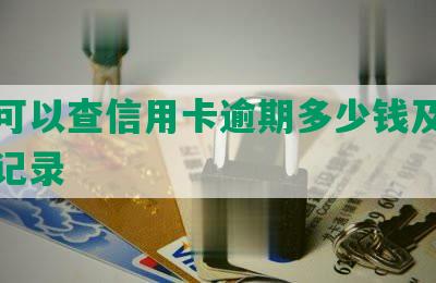 哪里可以查信用卡逾期多少钱及具体时间记录