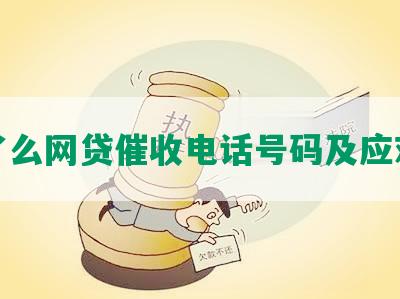 饿了么网贷催收电话号码及应对措