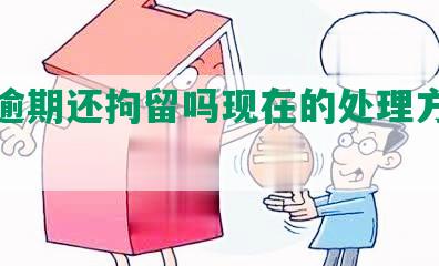 网贷逾期还拘留吗现在的处理方式及后果