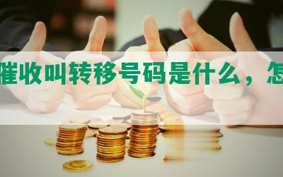 网贷催收叫转移号码是什么，怎么填？