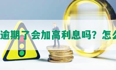 网贷逾期了会加高利息吗？怎么办？