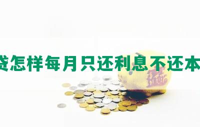 网贷怎样每月只还利息不还本金？