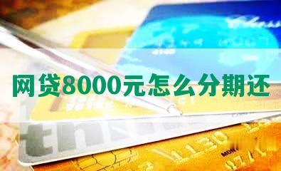 网贷8000元怎么分期还