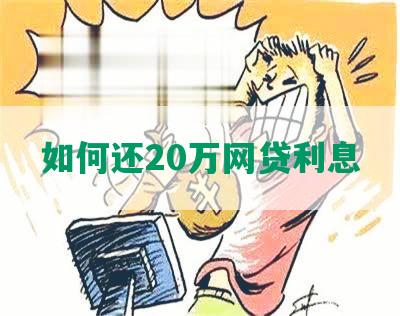 如何还20万网贷利息