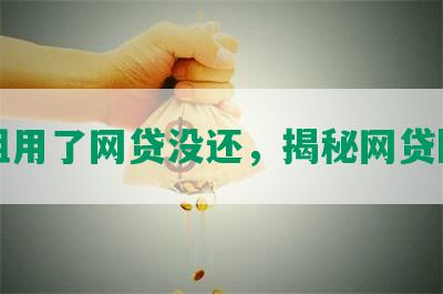 亲姐用了网贷没还，揭秘网贷陷阱