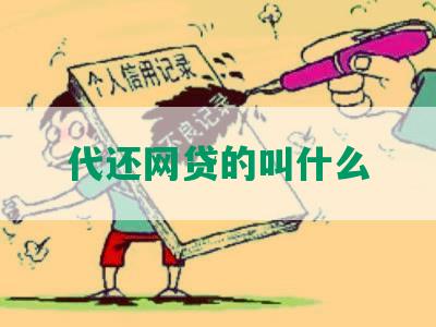 代还网贷的叫什么