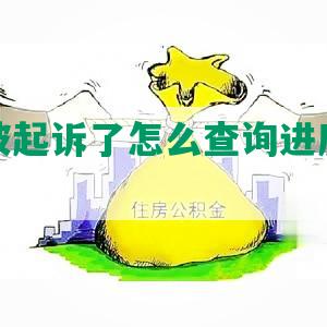 网贷谁被起诉了怎么查询进度及平台？