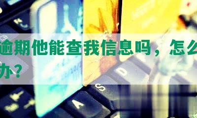 网贷逾期他能查我信息吗，怎么查和怎么办？