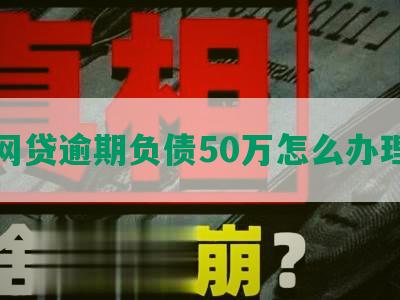 网贷逾期负债50万怎么办理