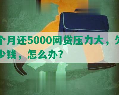 每个月还5000网贷压力大，欠了多少钱，怎么办？