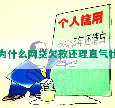 为什么网贷欠款还理直气壮