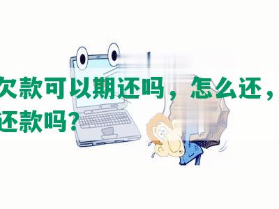 网贷欠款可以期还吗，怎么还，现在能期还款吗？