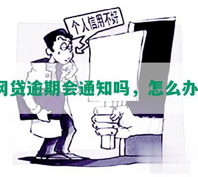 网贷逾期会通知吗，怎么办？