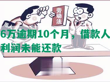 网贷6万逾期10个月，借款人追求高额利润未能还款