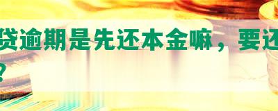 网商贷逾期是先还本金嘛，要还全部本金？