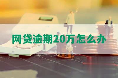 网贷逾期20万怎么办