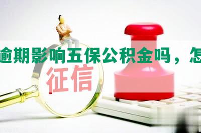 网贷逾期影响五保公积金吗，怎么办？