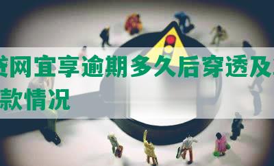 宜贷网宜享逾期多久后穿透及2020还款情况