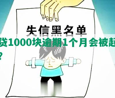 网贷1000块逾期1个月会被起诉吗？