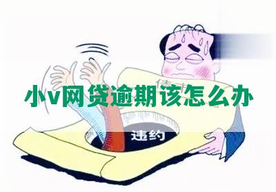 小v网贷逾期该怎么办