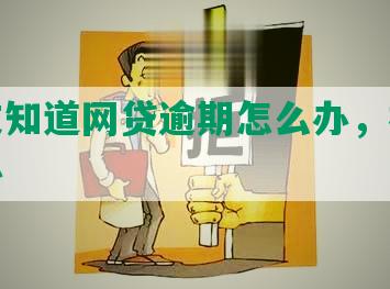 被朋友知道网贷逾期怎么办，被骚扰怎么办