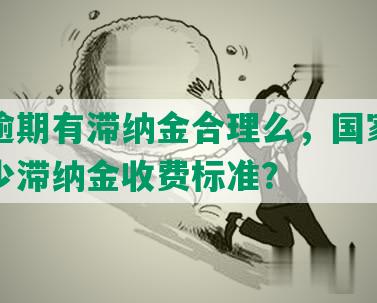 网贷逾期有滞纳金合理么，国家规定是多少滞纳金收费标准？