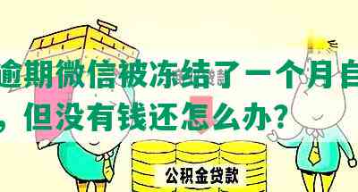 网贷逾期微信被冻结了一个月自动解封了，但没有钱还怎么办？