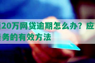 负债20万网贷逾期怎么办？应对高额债务的有效方法